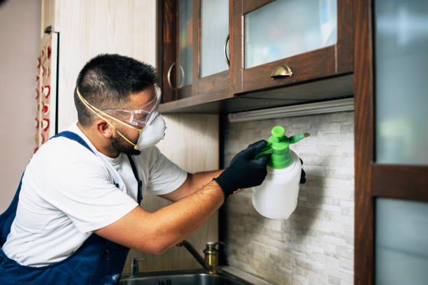 Best Pest Control for Businesses  in Yosemite Valley, CA