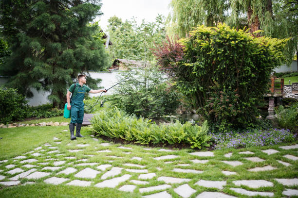 Best Wasp Removal Services  in Yosemite Valley, CA