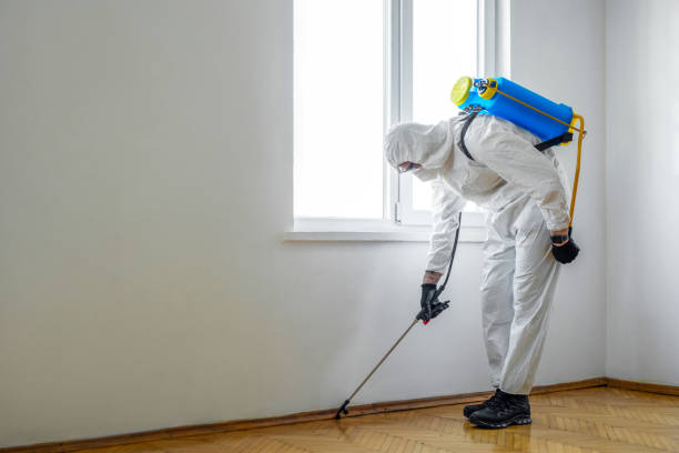 Best Pest Control for Homes  in Yosemite Valley, CA