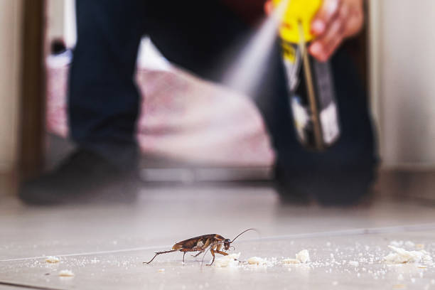 Best Best Pest Control Companies  in Yosemite Valley, CA