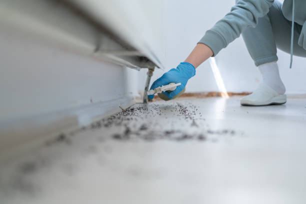 Best Pest Removal Services  in Yosemite Valley, CA
