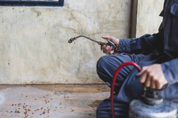 Best Affordable Pest Control Services  in Yosemite Valley, CA